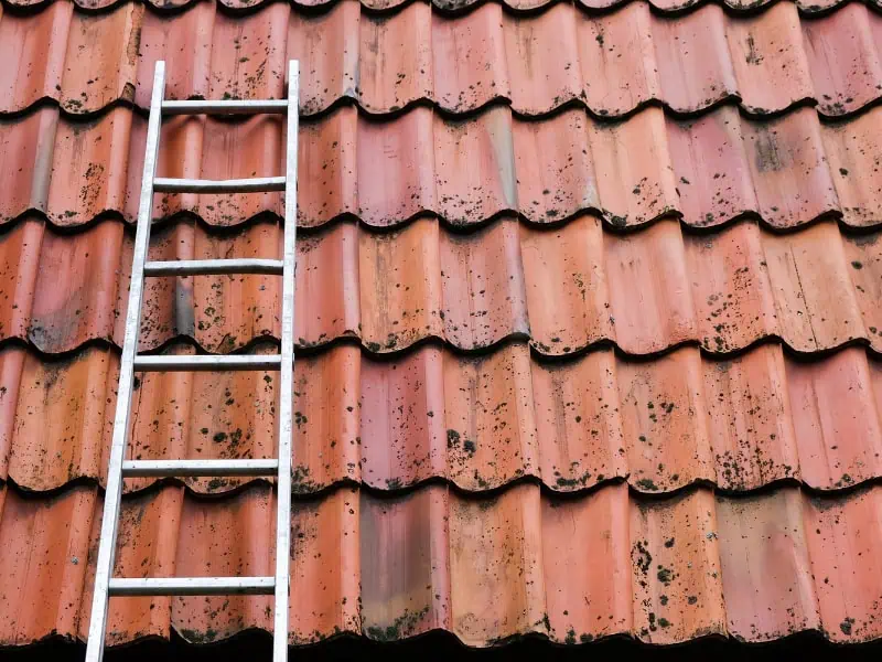 Geda ladder lift positioned against tiled roof for maintenance access.